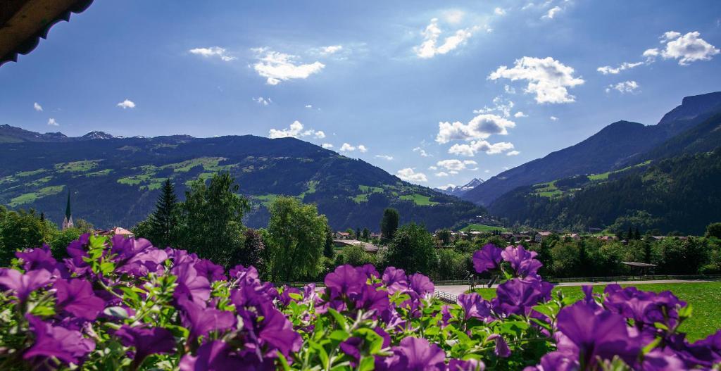 Villa Haidacher Relax & Lifestyle Apartments Zell am Ziller Quarto foto