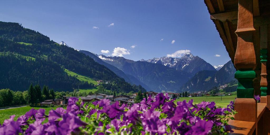 Villa Haidacher Relax & Lifestyle Apartments Zell am Ziller Quarto foto
